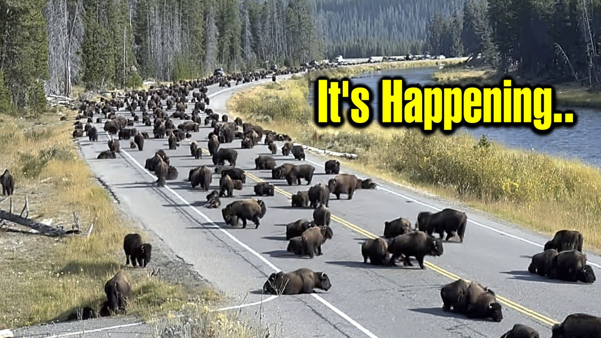 Park Rangers Won't Talk About What's Happening Beneath Yellowstone National Park..